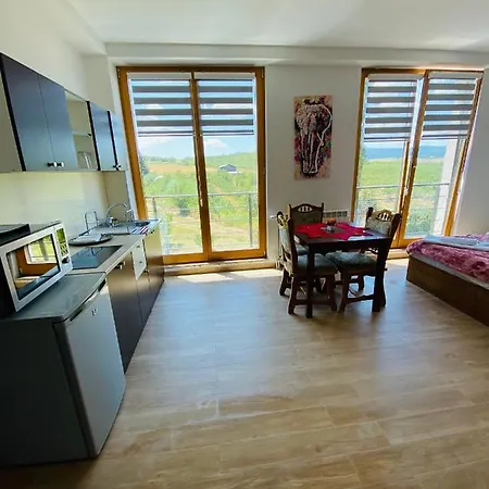 Papa Apartament Berowo