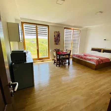 Apartament Papa Berowo