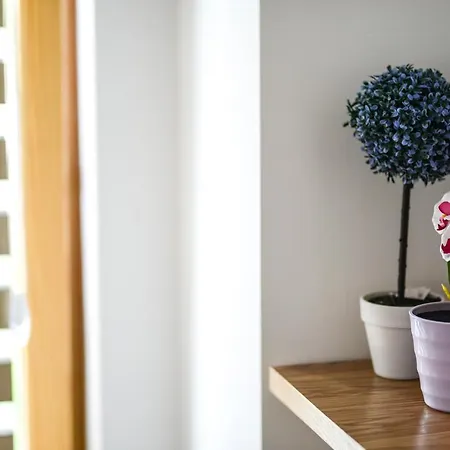 Apartament Papa
