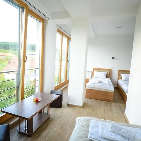 Apartament Papa